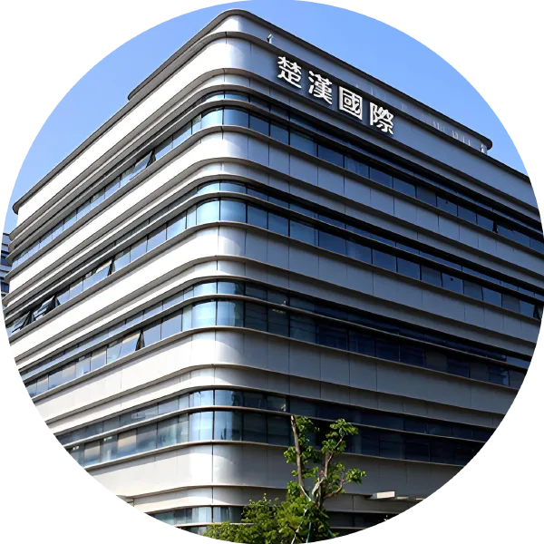 About Our Company